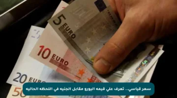 سعر قياسي.. تعرف على قيمة اليورو مقابل الجنيه في اللحظة الحالية